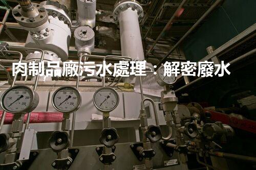 肉制品廠污水處理：解密廢水中的隱秘密碼！